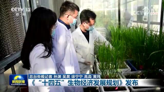 《“十四五”生物经济发展规划》印发