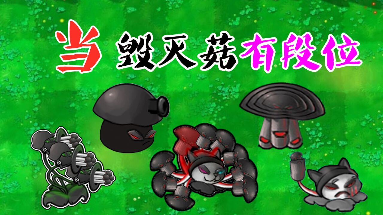 植物大战僵尸:当毁灭菇有了段位,王者,王者统统都是最强王者!