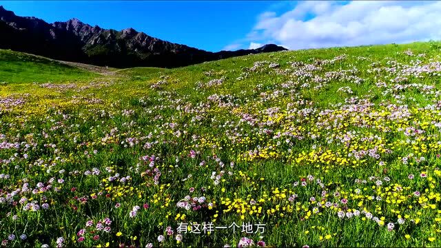 【中国旅游日】海西在行动—都兰对你说