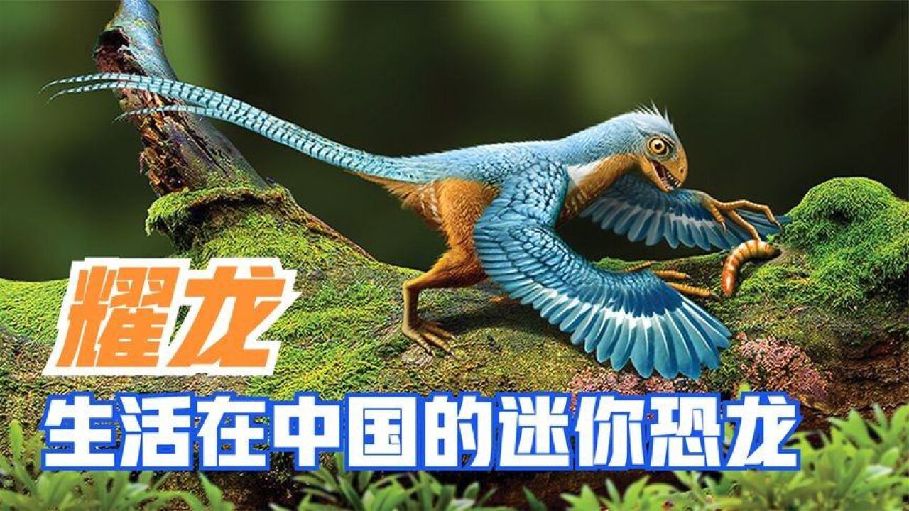 耀龙(擅攀鸟龙科耀龙属动物)_搜狗百科