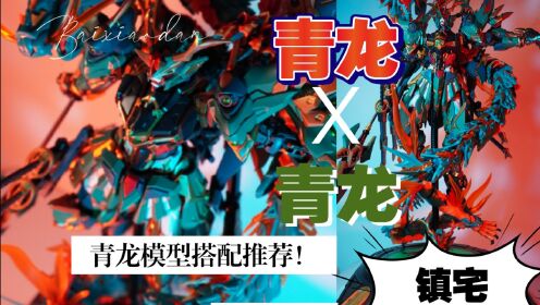 [图]「白测20」青龙x青龙！双龙合并霸气侧漏！国模组合玩法！藏道青龙神型青龙完美搭配！主观评测及购买建议！