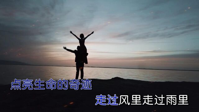 刘强  奇迹(KTV版)千盛之星文化发行