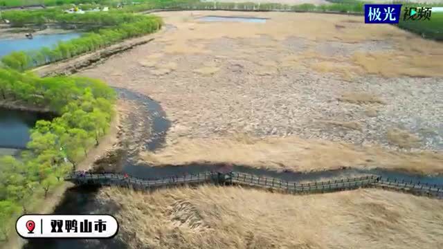 航拍龙江丨集贤县 安邦河湿地公园