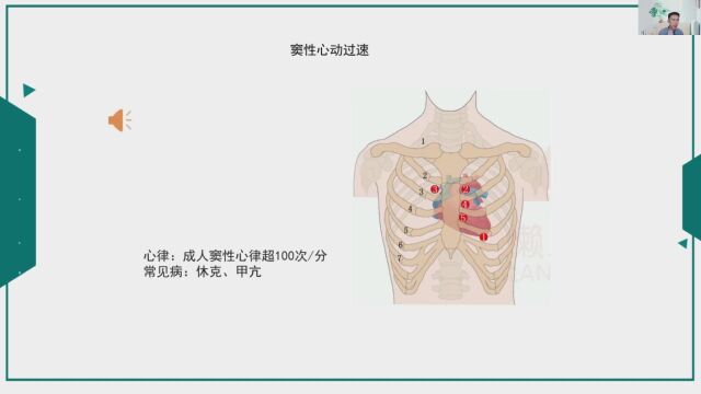 技能心肺听诊特训