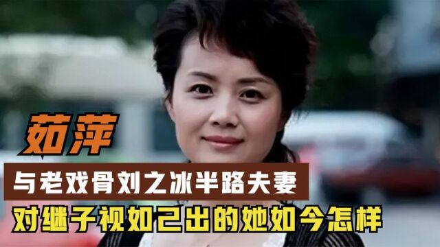 茹萍:一婚被无情抛弃,二婚带女嫁小3岁丈夫刘之冰,如今怎样