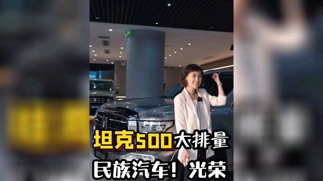 谁说民族品牌没大排量车?坦克500给我们长脸了!