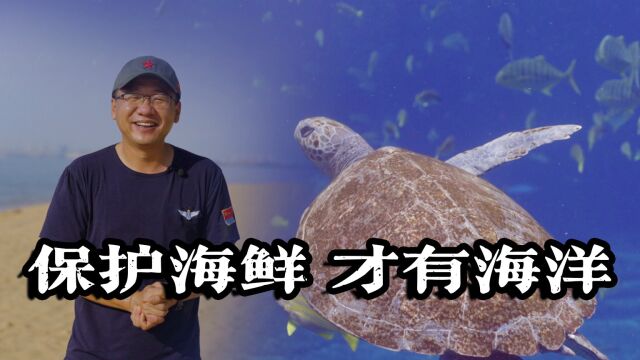 漠叔下海拍片宣传海洋,渔民不愿意收钱