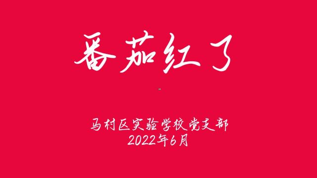 马村区实验学校乡村振兴题材课本剧《番茄红了》