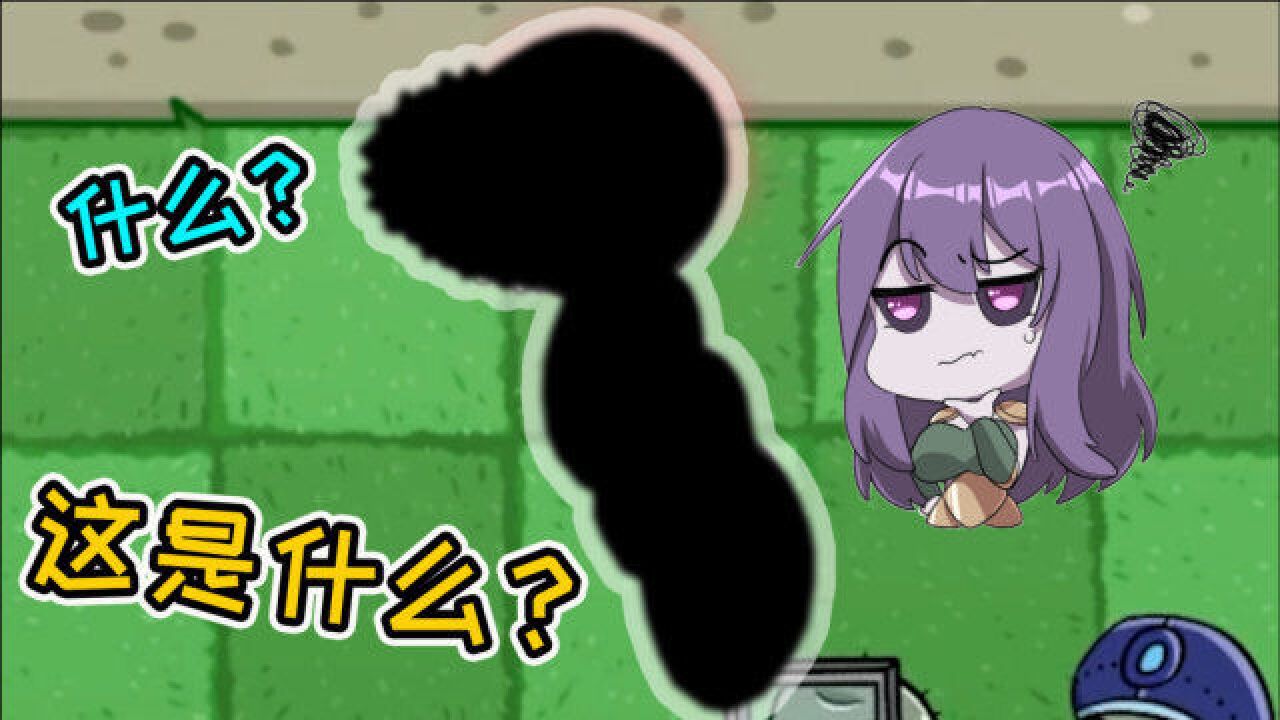 植物大战僵尸:这些都是高空抛物组?陈贝贝:警察叔叔就是他们!