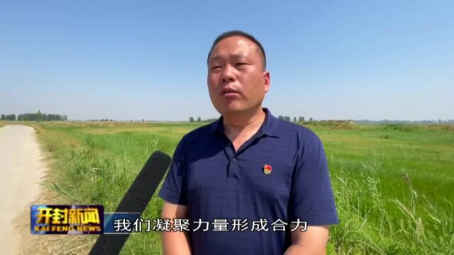 祥符区袁坊乡:守护黄河湿地生态 换来滩区草长莺飞