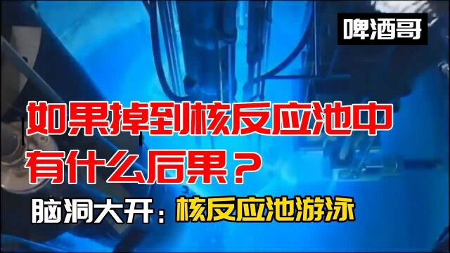 如果你掉到核反应池中,你觉得生存下去吗?核反应池究竟有什么致命的危险?冷知识:核反应池中游泳