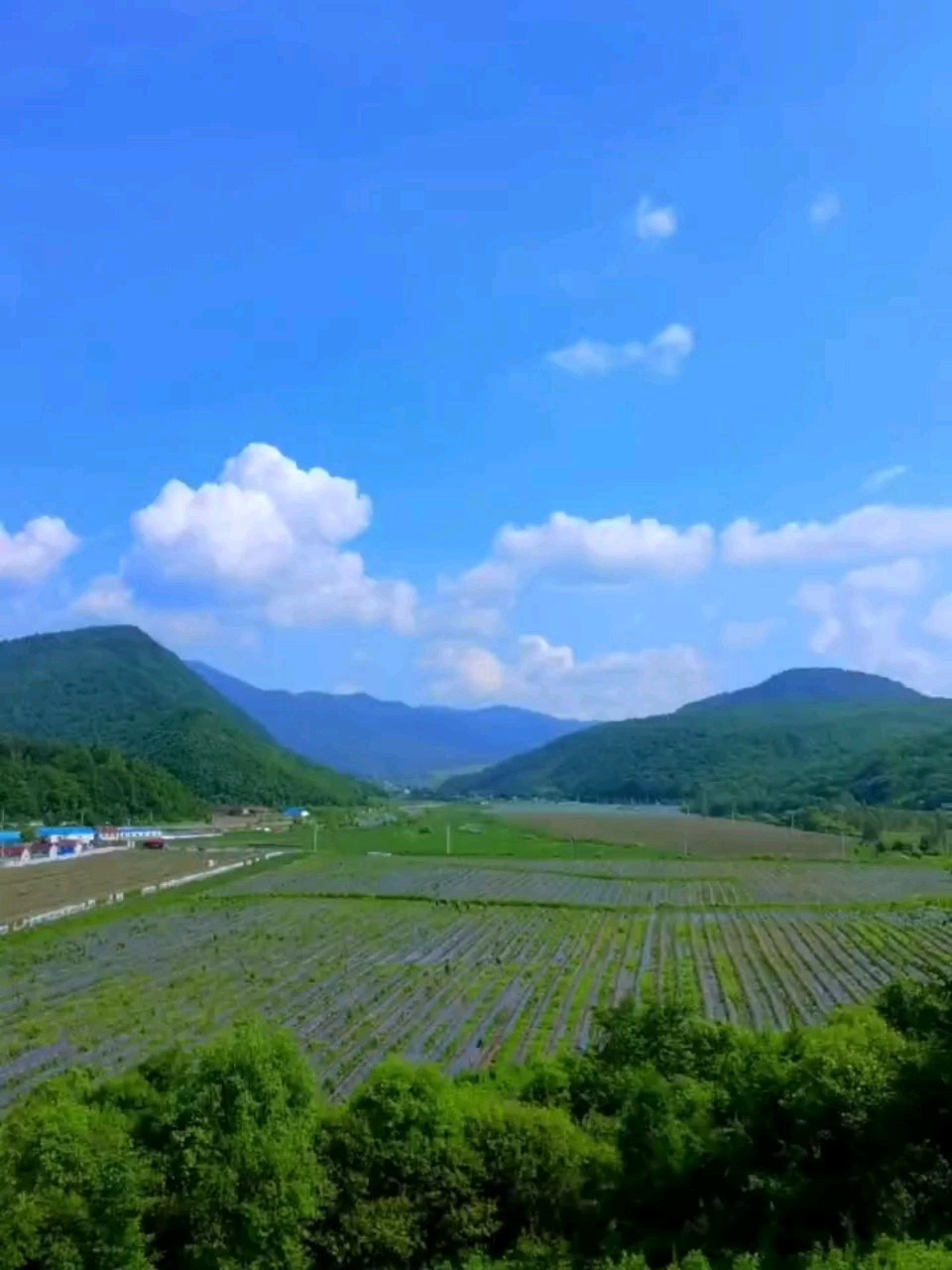 大山里的田园风光