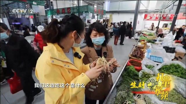 待遇如此不同!金雀花的价格要比黄花的价格高十倍