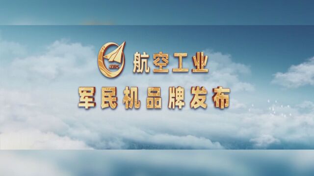 中航工业发布18个军民机品牌系列名称 有鲜明中国文化特色