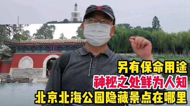 北京北海公园隐藏景点在哪里,神秘之处鲜为人知,另有保命用途