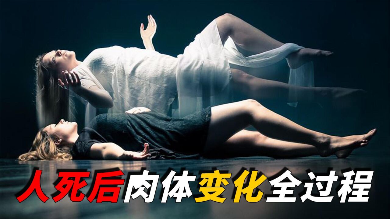 以全新的视角打开宇宙的未知_人死后,我们的身体会发生哪些变化?整个过程或超乎你的想象!_高清1080P在线观看平台_腾讯视频