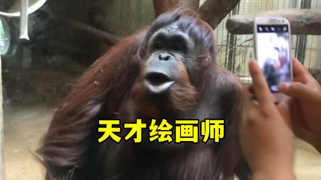 天才绘画师老八,这红毛猩猩笑死人!