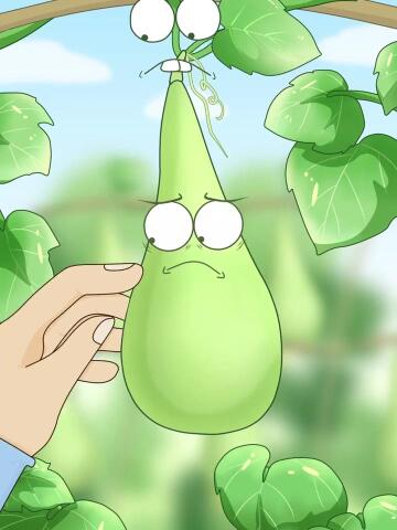 葫芦瓜还挺别致