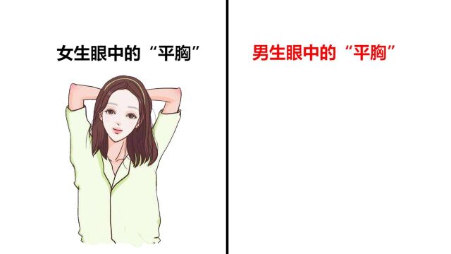 男生眼中的“平胸”,原来是这样的!哈哈哈