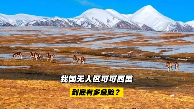 我国无人区可可西里,到底有多危险?有恶劣的天气和自然条件