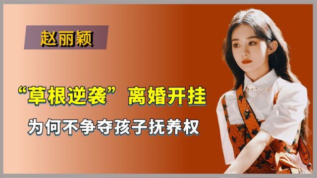 “自成一派”赵丽颖,草根逆袭离婚开挂,为何不争夺孩子抚养权