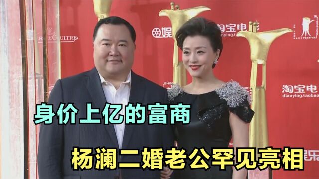 杨澜二婚老公曝光,身价上亿长相却一言难尽,难怪相识10月就闪婚