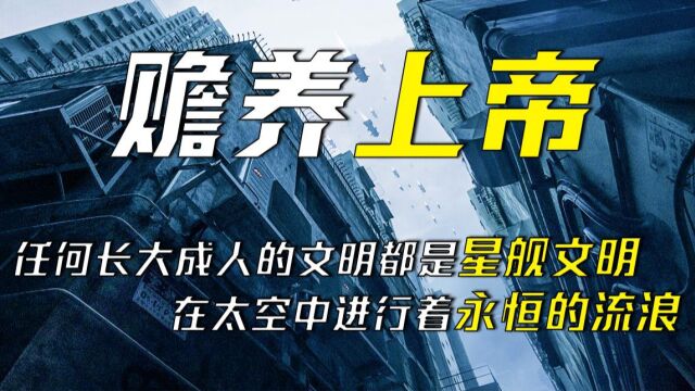 我将用千年时间听一句“我爱你”刘慈欣——《赡养上帝》