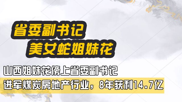 山西姐妹花傍上省委副书记,进军煤炭房地产行业,8年获利14.7亿