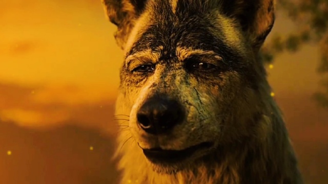 森林之子毛克利