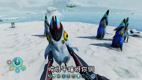 1080P 1080p