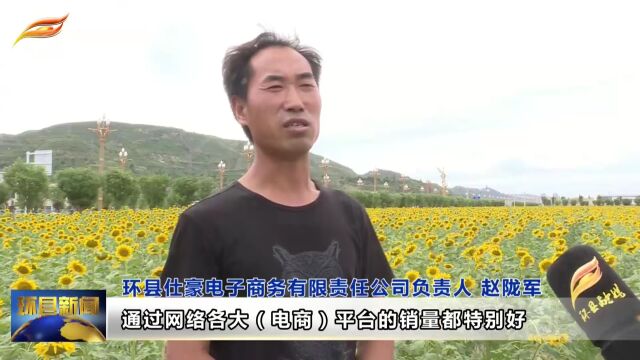 环县:向日葵依托电商身价倍增