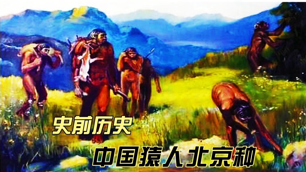 中国史前历史_史前历史中国猿人北京种生活在距今约七十万年至二十万年前的北京猿人遗址,1921年发现于北京房山周口店龙骨山.遗址挖掘出六个完整古 ...