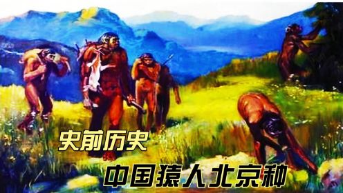 史前历史 中国猿人北京种 生活在距今约七十万年至二十万年前的北京猿人遗址,1921年发现于北京房山周口店龙骨山.遗址挖掘出六个完整古人类头盖骨化石及其他骨骼化石