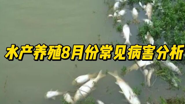 水产养殖8月份常见病害分析