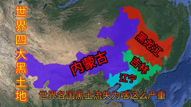 世界四大黑土地,乌克兰第一,中国第三,都在快速流失