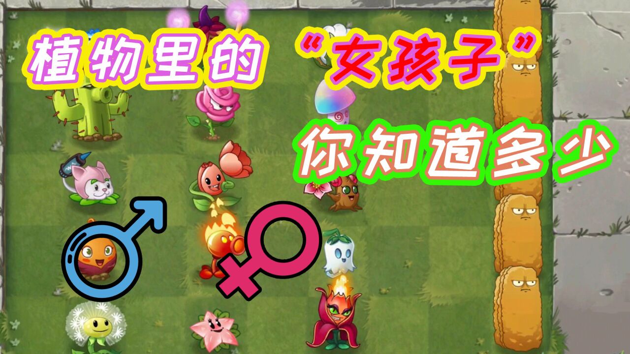 植物大战僵尸:pvz2代里的女孩子植物,里面居然有女汉子!