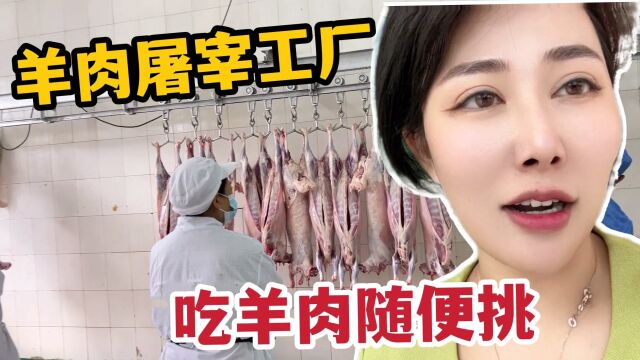 内蒙姑娘有多能吃肉?羊肉屠宰加工厂挑羊,分装羊肉部位随意挑