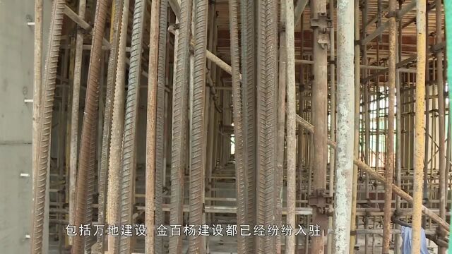 新集镇:加快总部经济项目建设 打造经济发展新的增长极