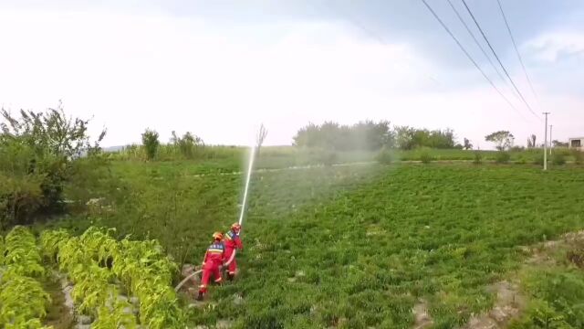 80余亩辣椒种植基地缺水,毕节纳雍消防送来“及时雨”