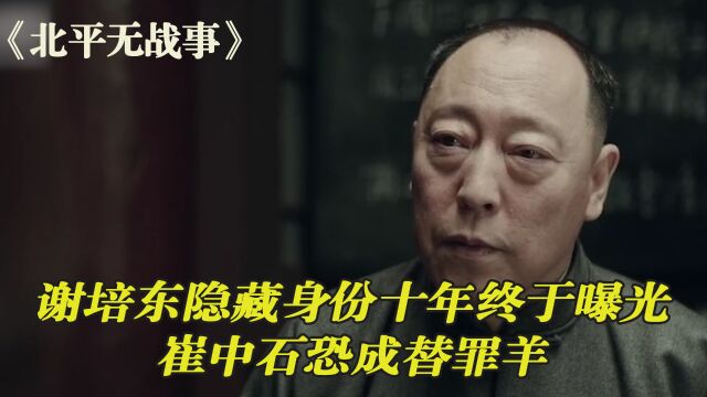 谢培东隐藏身份十年终于曝光,崔中石恐成替罪羊揭露国民党贪腐