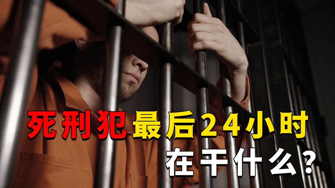 生命最后24小时,死刑犯在干什么?最后一餐想吃什么就吃什么吗?_高清1080P在线观看平台_腾讯视频