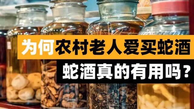 为何农村老人爱买蛇药酒,它真的有用吗?活蛇泡上一年都不会死?