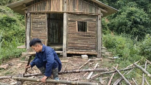 一个人进入深山,完善竹屋,打造室外桃园又近了一步!