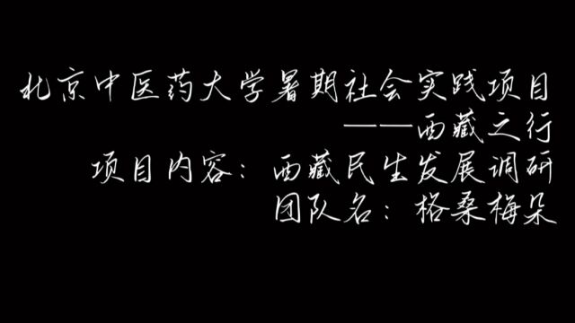 2022北京中医药大学暑期社会实践——西藏之行