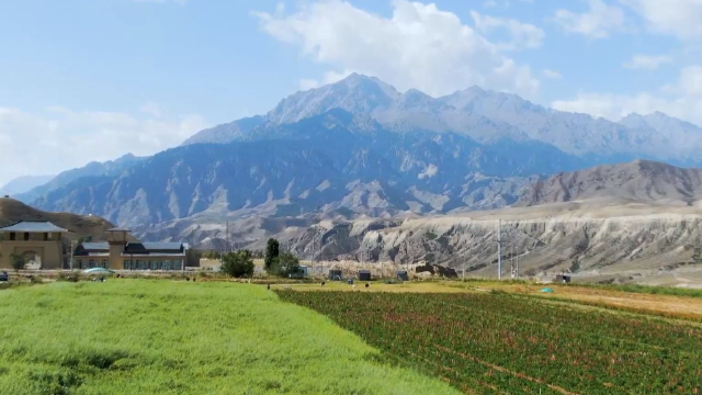 《乡村振兴看沙湾》西戈壁镇—变化篇