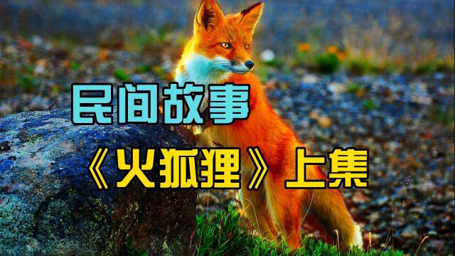 一只劝人向善的火狐狸!民间故事《火狐狸》上集