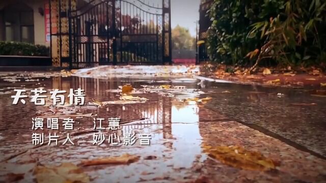 经典歌曲《天若有情》不管你听过多少闽南歌,这首都值得一听