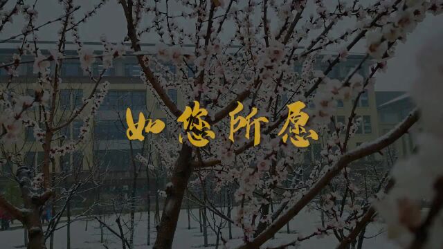 大唐现代双语小学师生祝愿全体教师节日快乐—《如愿》