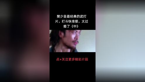 樊少皇经典电影《力王》