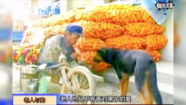 分享一个真实的故事,老人与狗,忠爱无言的原型,中国版的忠犬八公!